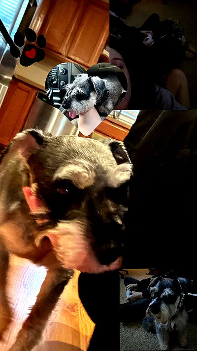 juliaelzz juliaelzz archive video