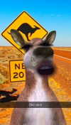 kalogeraseliana Altpins Profile Picture