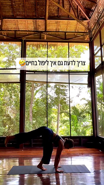 liad.arazi liad.arazi archive video