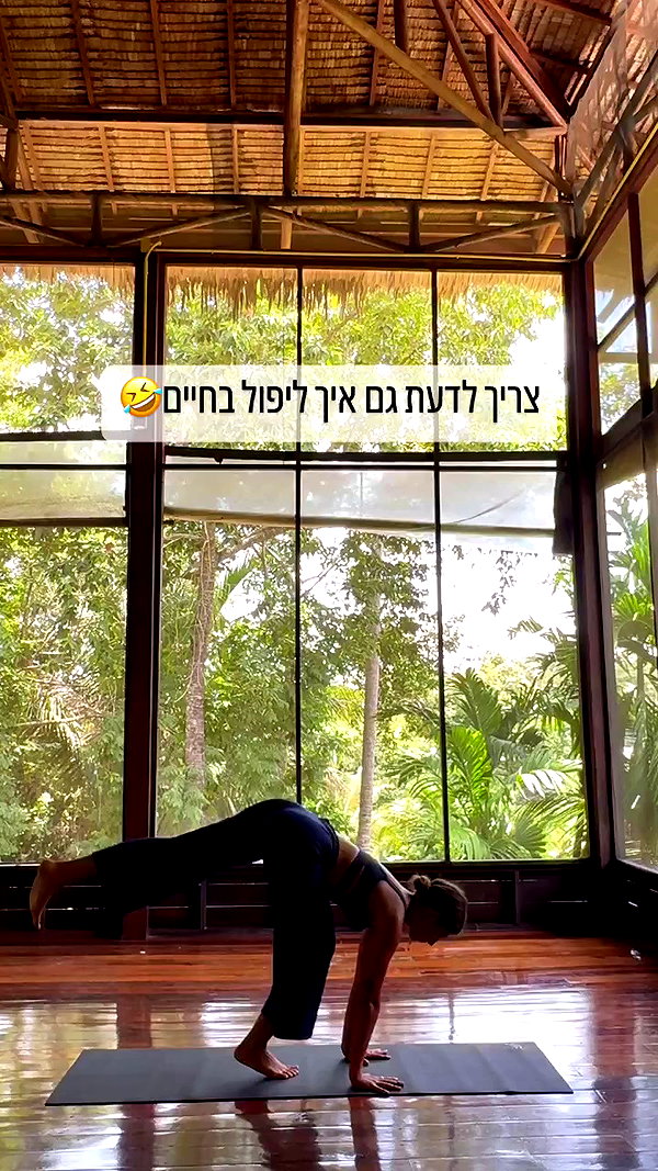 liad.arazi archive video preview