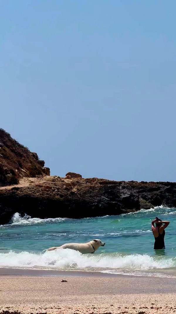amit_basson_ archive video preview