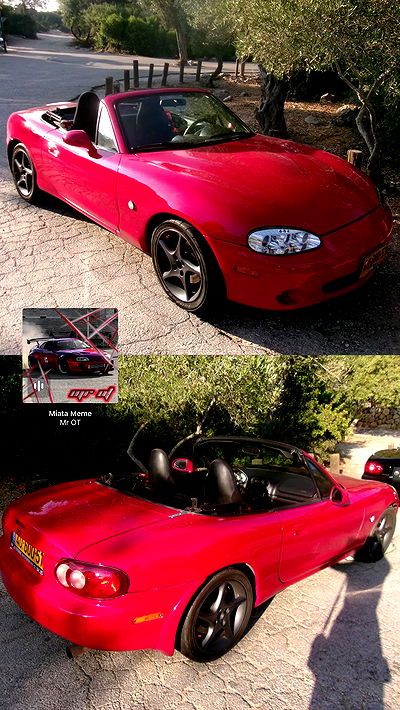 simp_for_cats_ simp_for_cats_ archive video