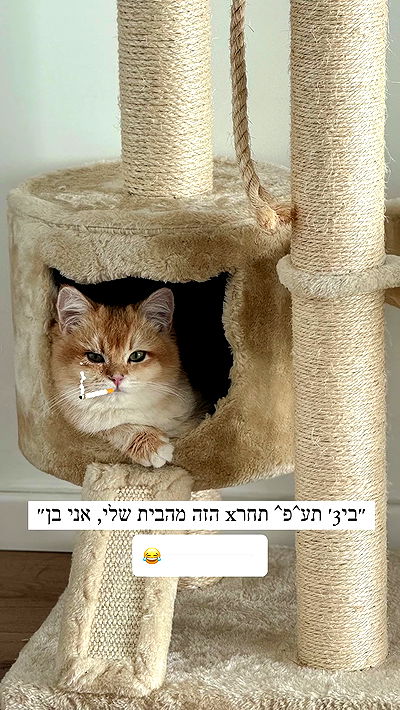 itsilanosh itsilanosh archive video