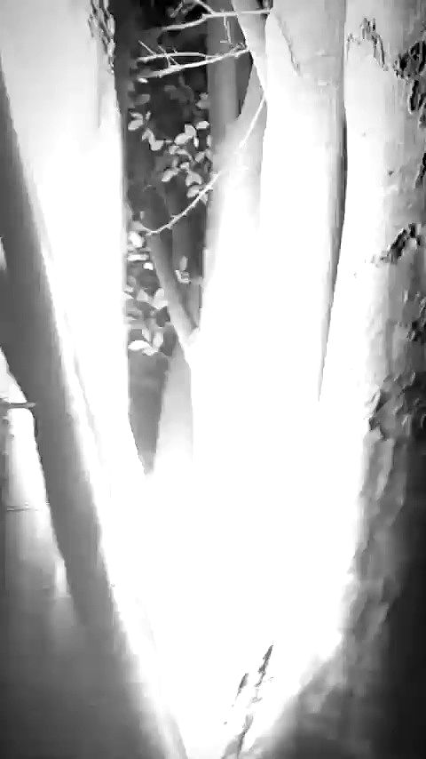 aekamee archive video preview