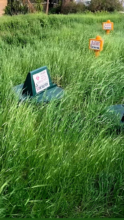 m1ry2m_ m1ry2m_ archive video