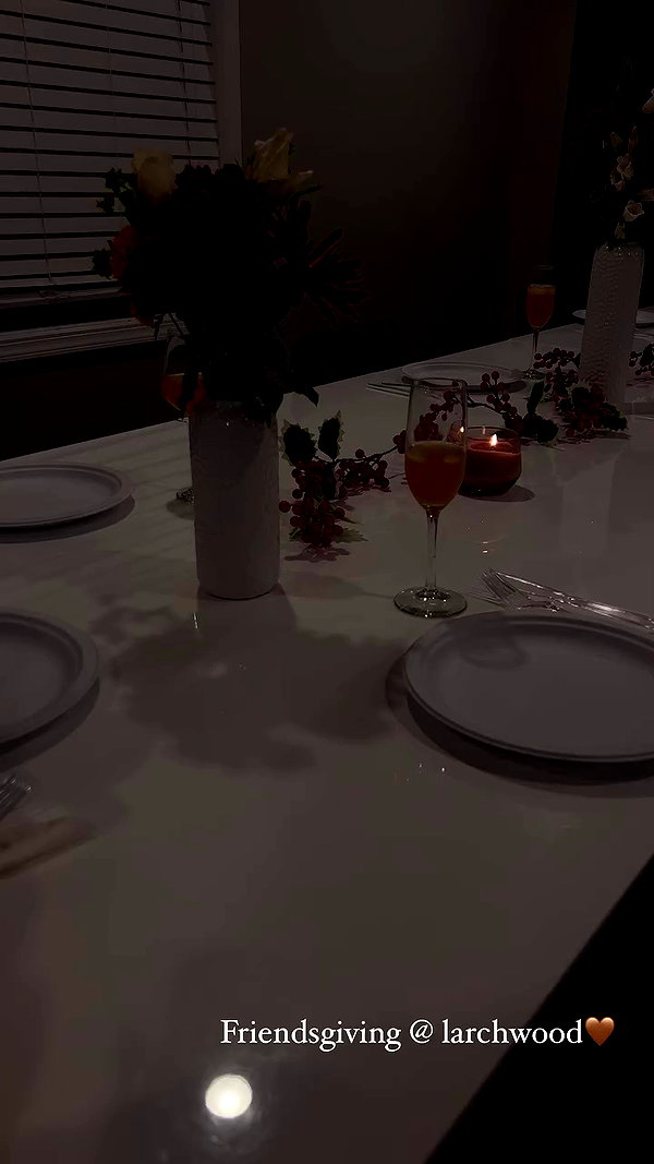 sam.circs archive video preview