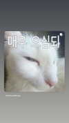 bluulin_ Altpins Profile Picture