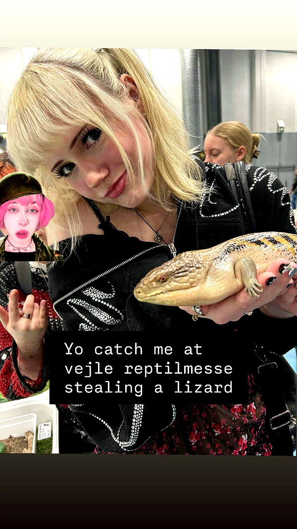 bibblekitty.reels archive video preview