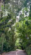 noa_mendel_ Altpins Profile Picture