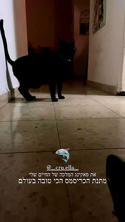 feelbetterinmysweater feelbetterinmysweater archive video