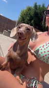 emiliaaa.sfr Altpins Profile Picture