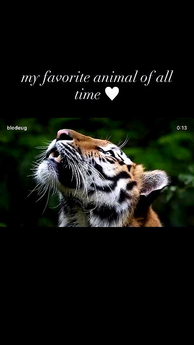 alexalizzz alexalizzz archive video