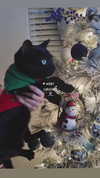 porcelainpixi Altpins Profile Picture