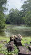 yumisback17 Altpins Profile Picture