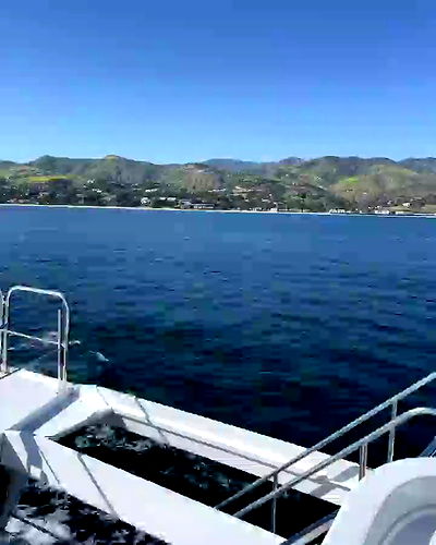 carolinezalog carolinezalog archive video