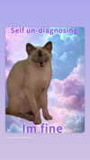 mika_doesnt_exist Altpins Profile Picture