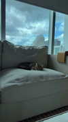 taylorballarddd Altpins Profile Picture