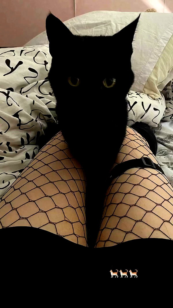 fuckinncutee archive video preview