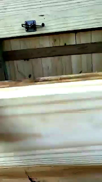 sophieraiin sophieraiin archive video