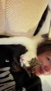 roni_ackerman Altpins Profile Picture