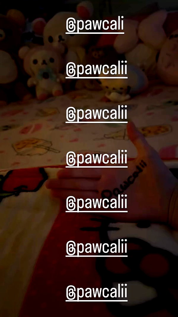 pawcalii archive video preview