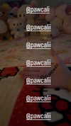 pawcalii Altpins Profile Picture