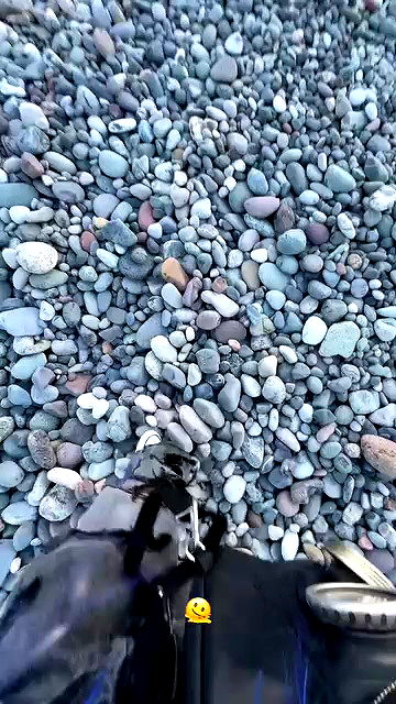 annfigma annfigma archive video