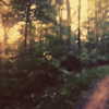 selenagomez Altpins Profile Picture