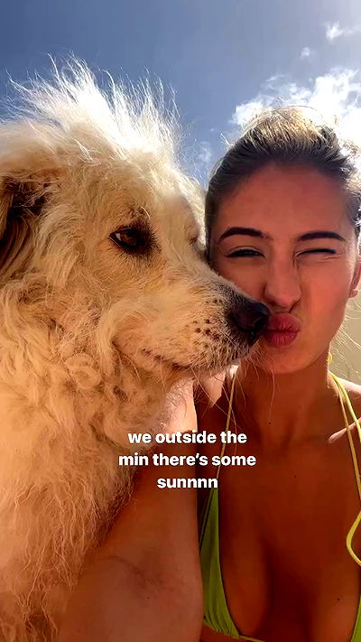 bakedsloths bakedsloths archive video