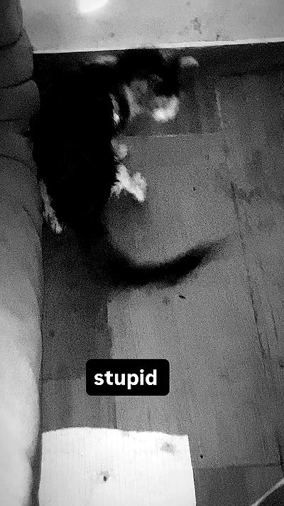 m1ry2m_ m1ry2m_ archive video