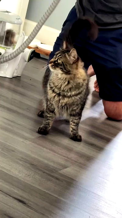 biton__adi biton__adi archive video