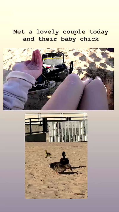 winbun.io winbun.io archive video