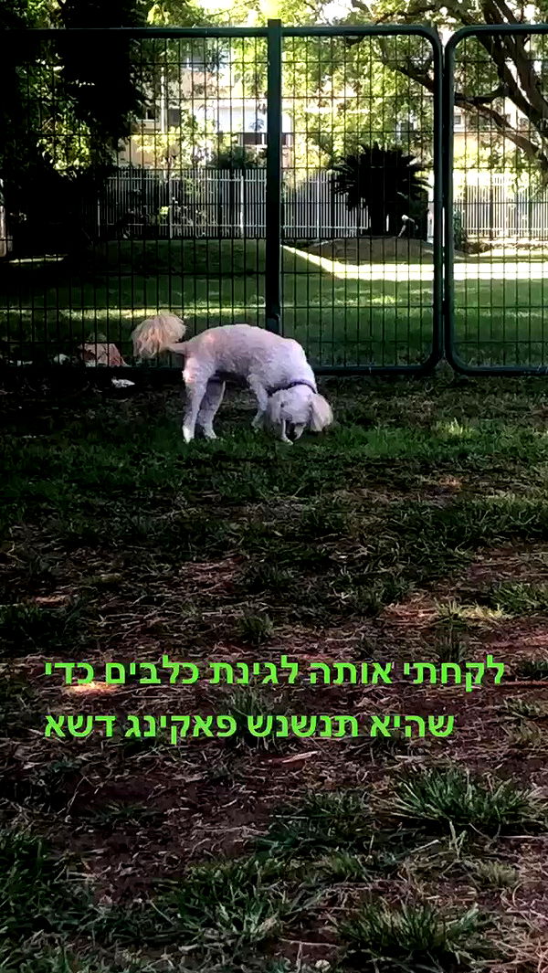 feelbetterinmysweater archive video preview