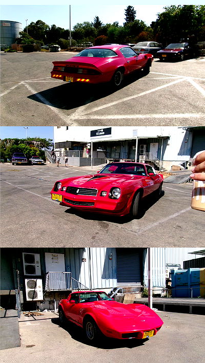 simp_for_cats_ simp_for_cats_ archive video