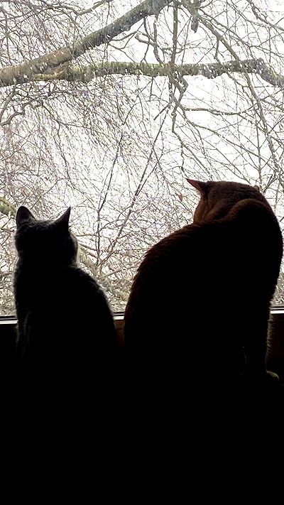 yoo.mon yoo.mon archive video