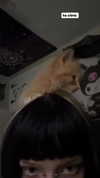 magg0tfleshh Altpins Profile Picture