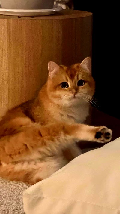 itsilanosh itsilanosh archive video