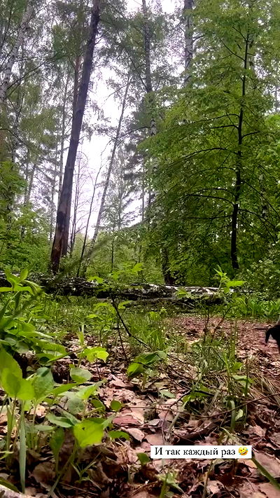 nyityam nyityam archive video