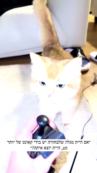 itsilanosh itsilanosh archive video