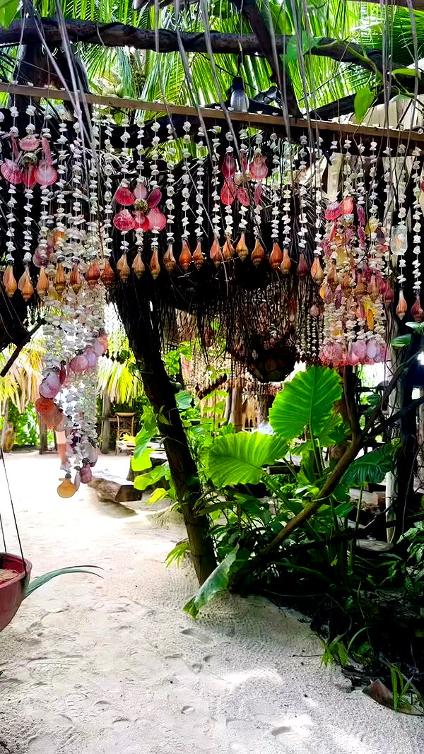 noa_mendel_ archive video preview