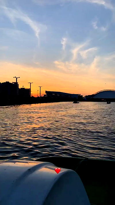 annfigma annfigma archive video