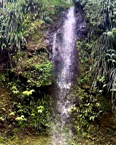 sophiemudd sophiemudd archive video