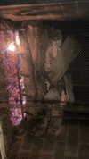 sydney_melman Altpins Profile Picture