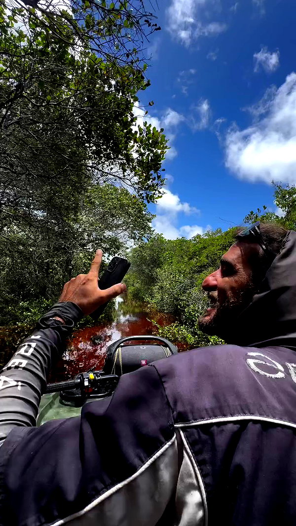 mayan.cohen archive video preview