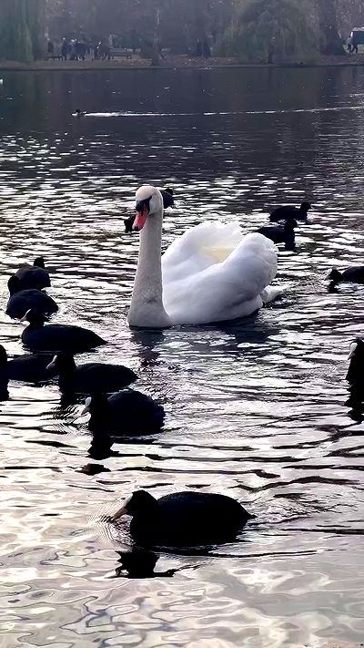 itsilanosh itsilanosh archive video