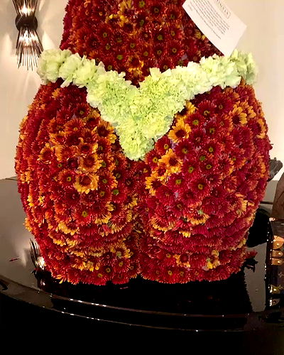 iamcardib iamcardib archive video