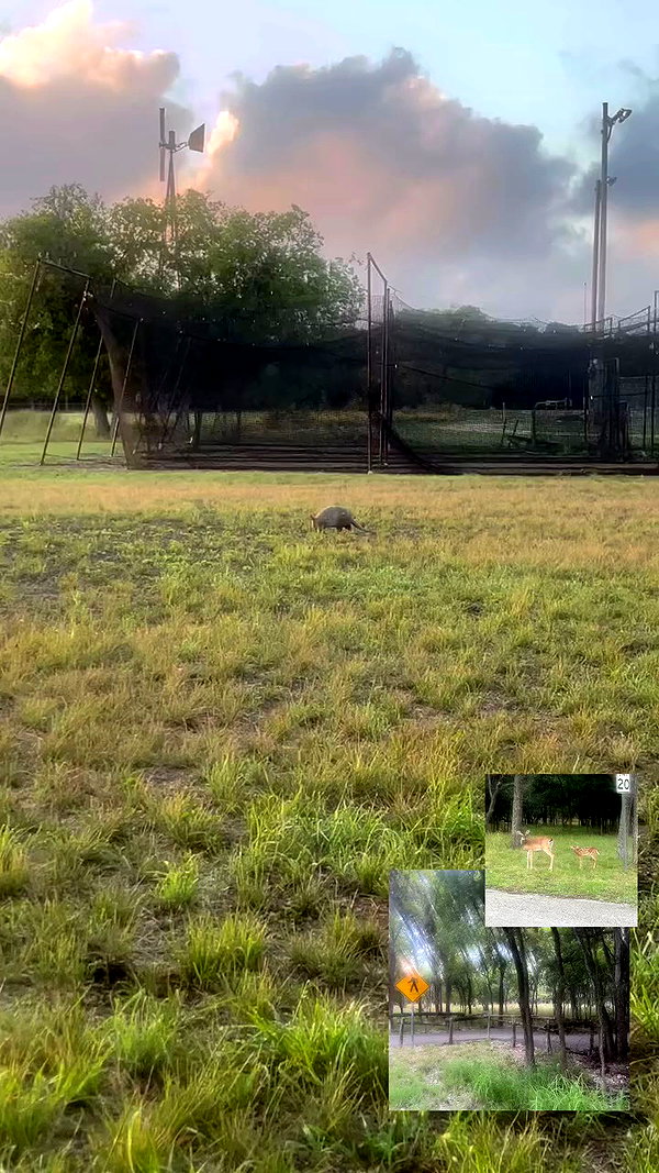 tatum.ricee archive video preview