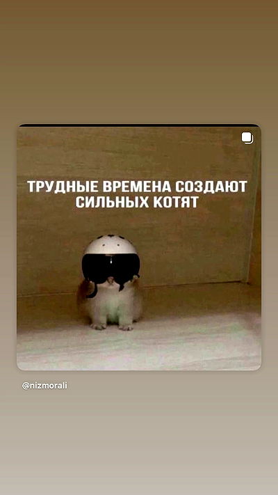 ninja.vi ninja.vi archive video