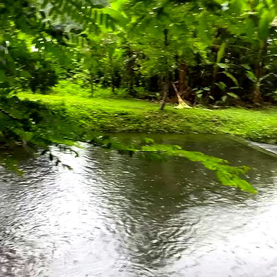 liad.arazi liad.arazi archive video