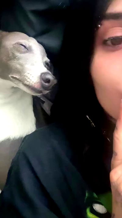 zommmbri zommmbri archive video